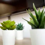 Apartmán Lidia